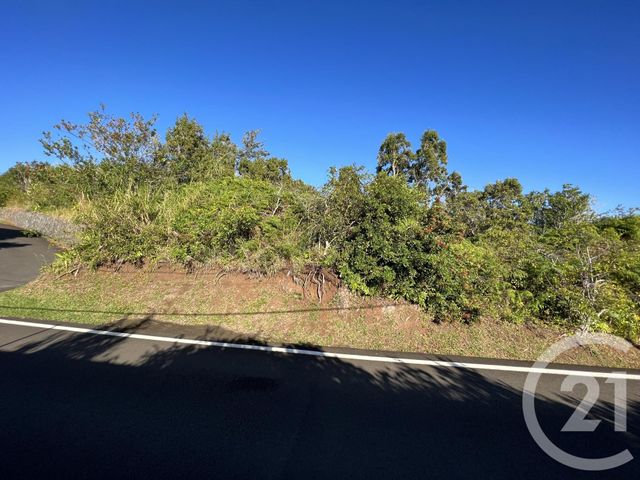 Terrain à vendre - 896 m2 - St Denis - 974 - REUNION