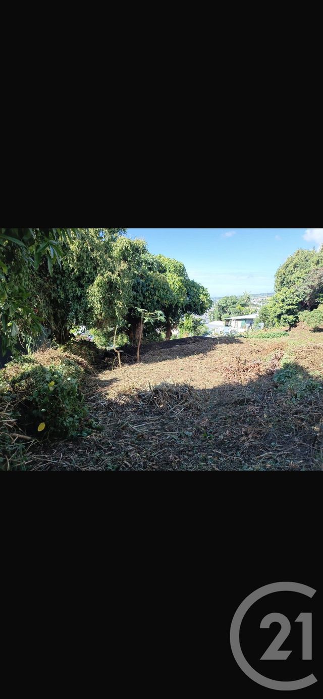 Terrain &agrave; vendre - 446 m2 - St Denis - 974 - REUNION