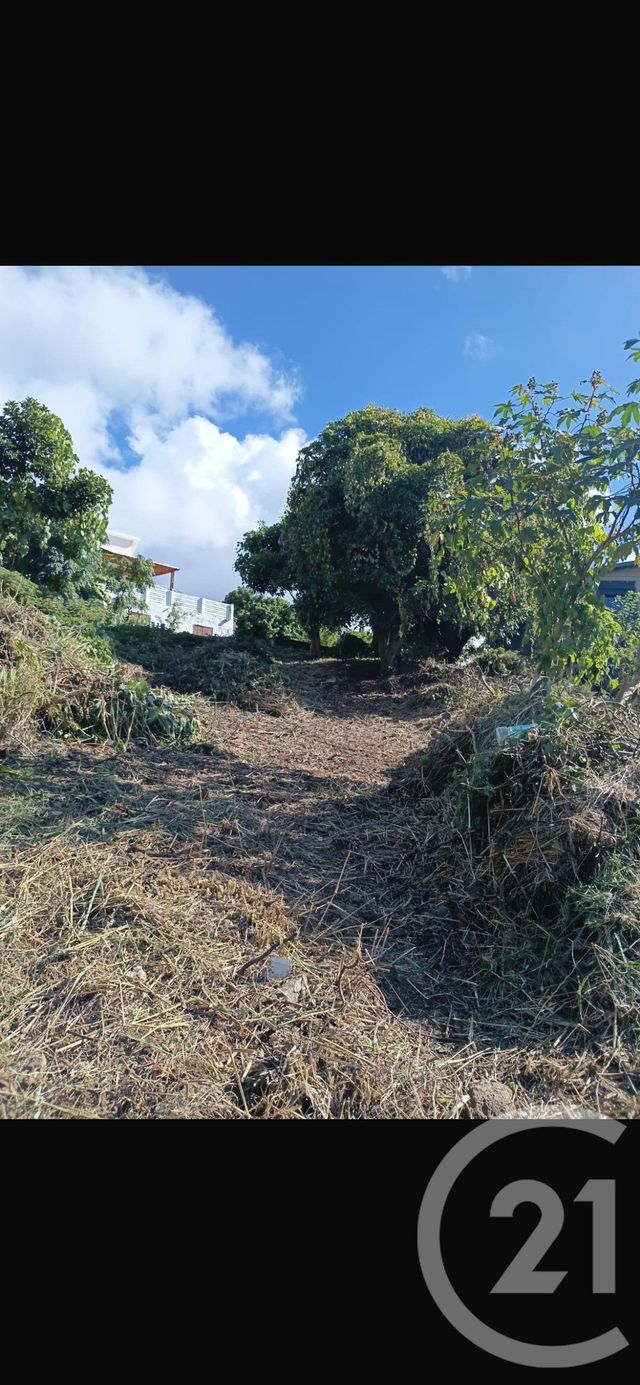 Terrain &agrave; vendre - 446 m2 - St Denis - 974 - REUNION