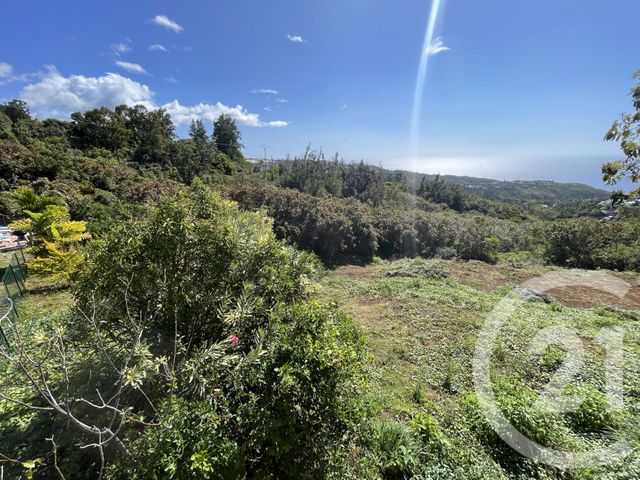 Maison à vendre - 5 pièces - 134,66 m2 - St Denis - 974 - REUNION