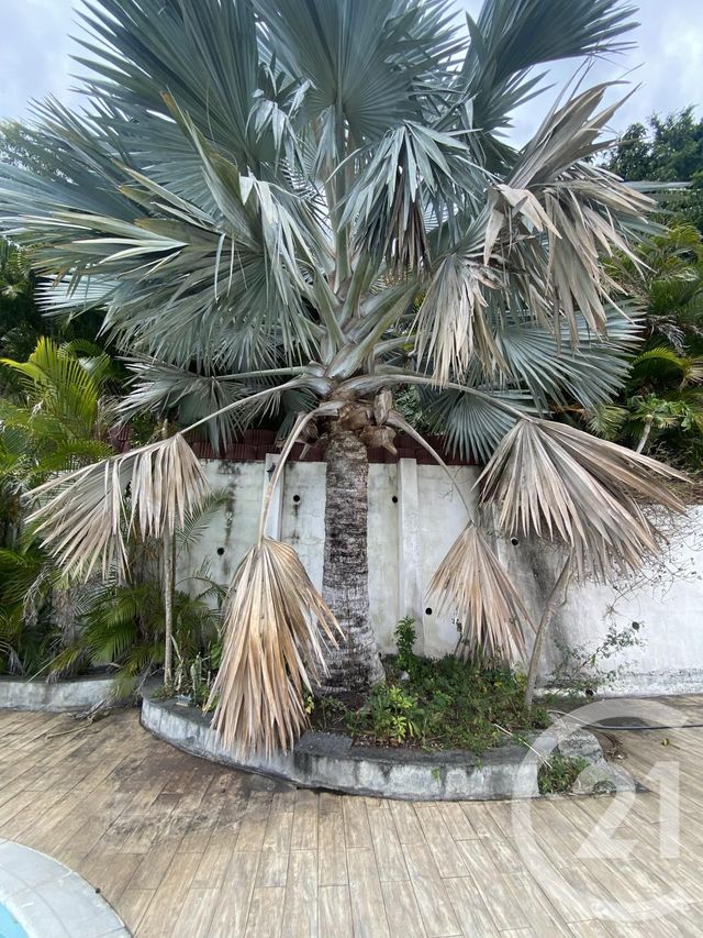 Maison à vendre - 5 pièces - 162 m2 - St Denis - 974 - REUNION