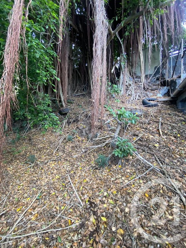 Maison à vendre - 5 pièces - 162 m2 - St Denis - 974 - REUNION