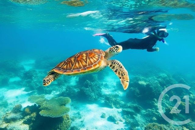 Maison à vendre - 4 pièces - 90 m2 - St Paul - 974 - REUNION