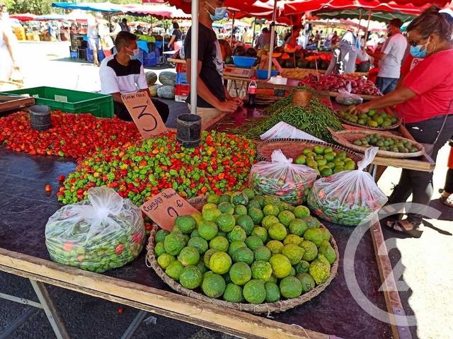 Maison à vendre - 4 pièces - 60,35 m2 - St Denis - 974 - REUNION