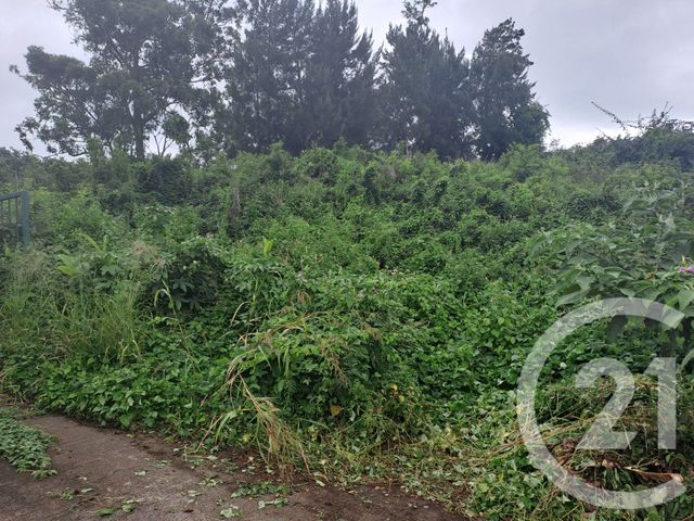 Terrain &agrave; vendre - 645 m2 - La Possession - 974 - REUNION