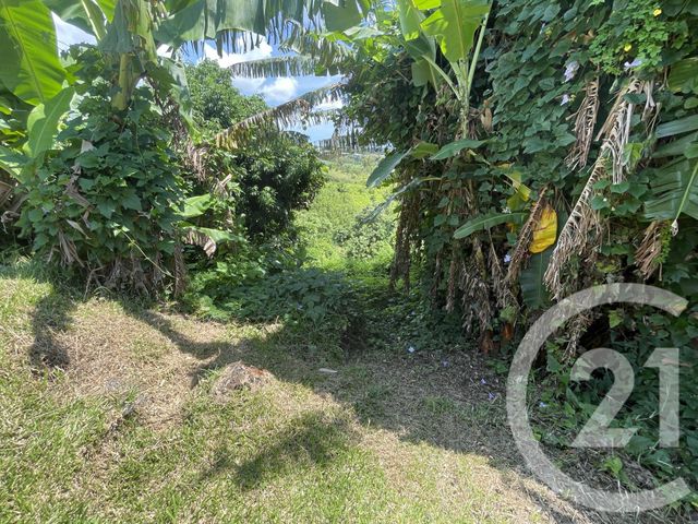 Maison &agrave; vendre - 5 pi&egrave;ces - 148 m2 - Ste Suzanne - 974 - REUNION