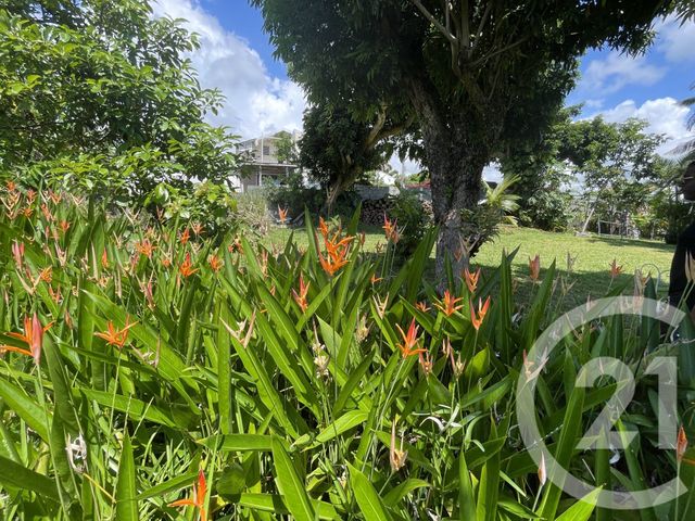 Maison &agrave; vendre - 5 pi&egrave;ces - 148 m2 - Ste Suzanne - 974 - REUNION