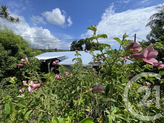 Maison &agrave; vendre - 5 pi&egrave;ces - 148 m2 - Ste Suzanne - 974 - REUNION