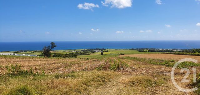Maison à louer - 5 pièces - 135,85 m2 - Ste Suzanne - 974 - REUNION