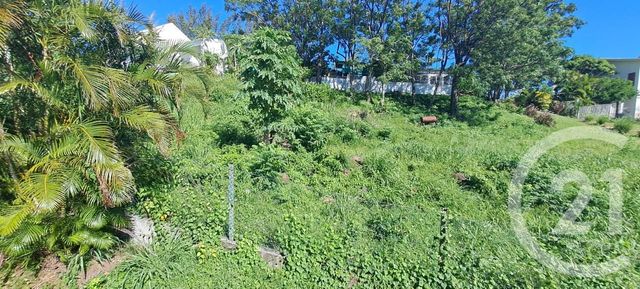 Appartement Studio &agrave; louer - 1 pi&egrave;ce - 19,52 m2 - St Denis - 974 - REUNION